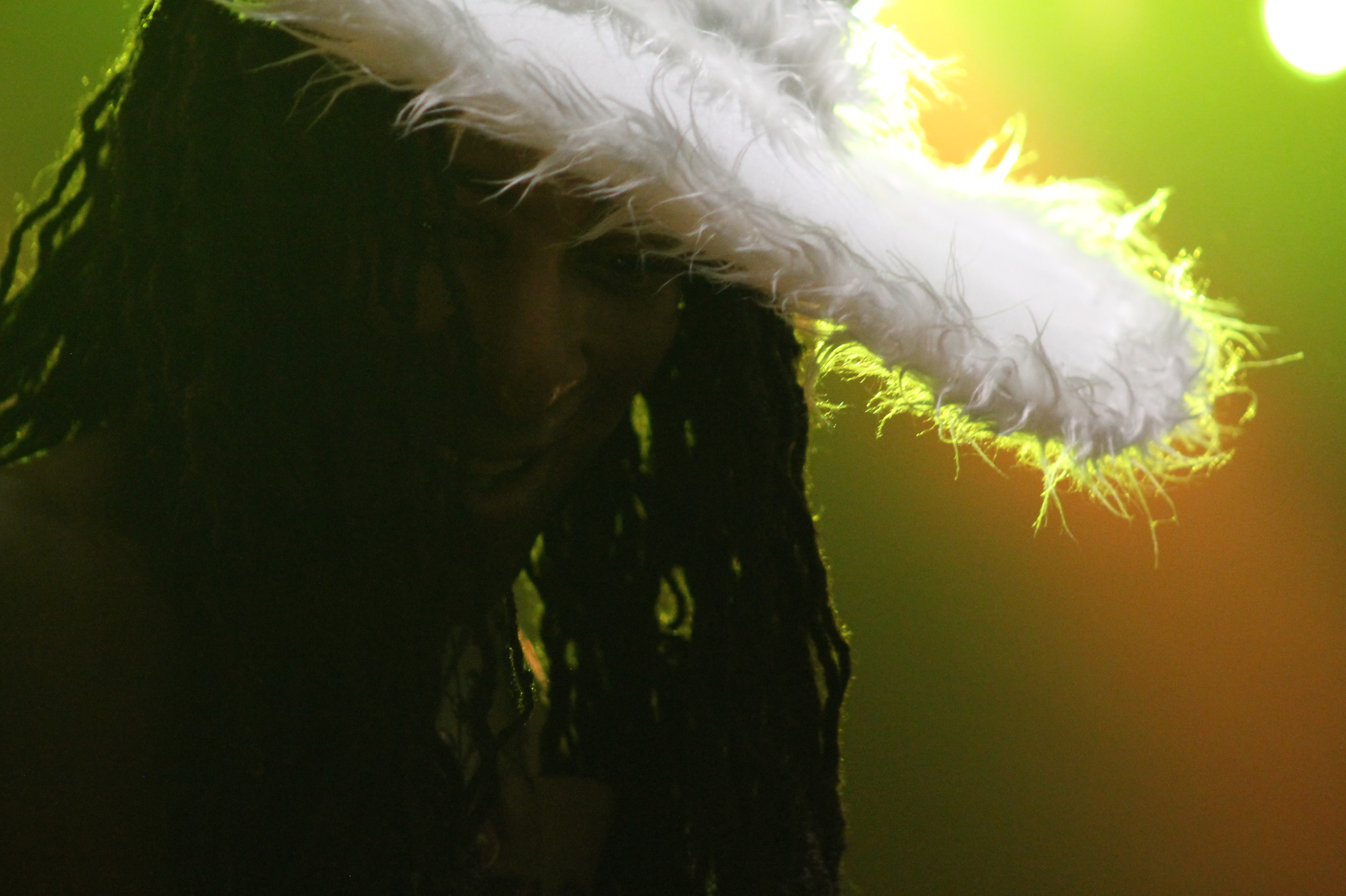 George Clinton & Parliament - Photo by Chris Horton