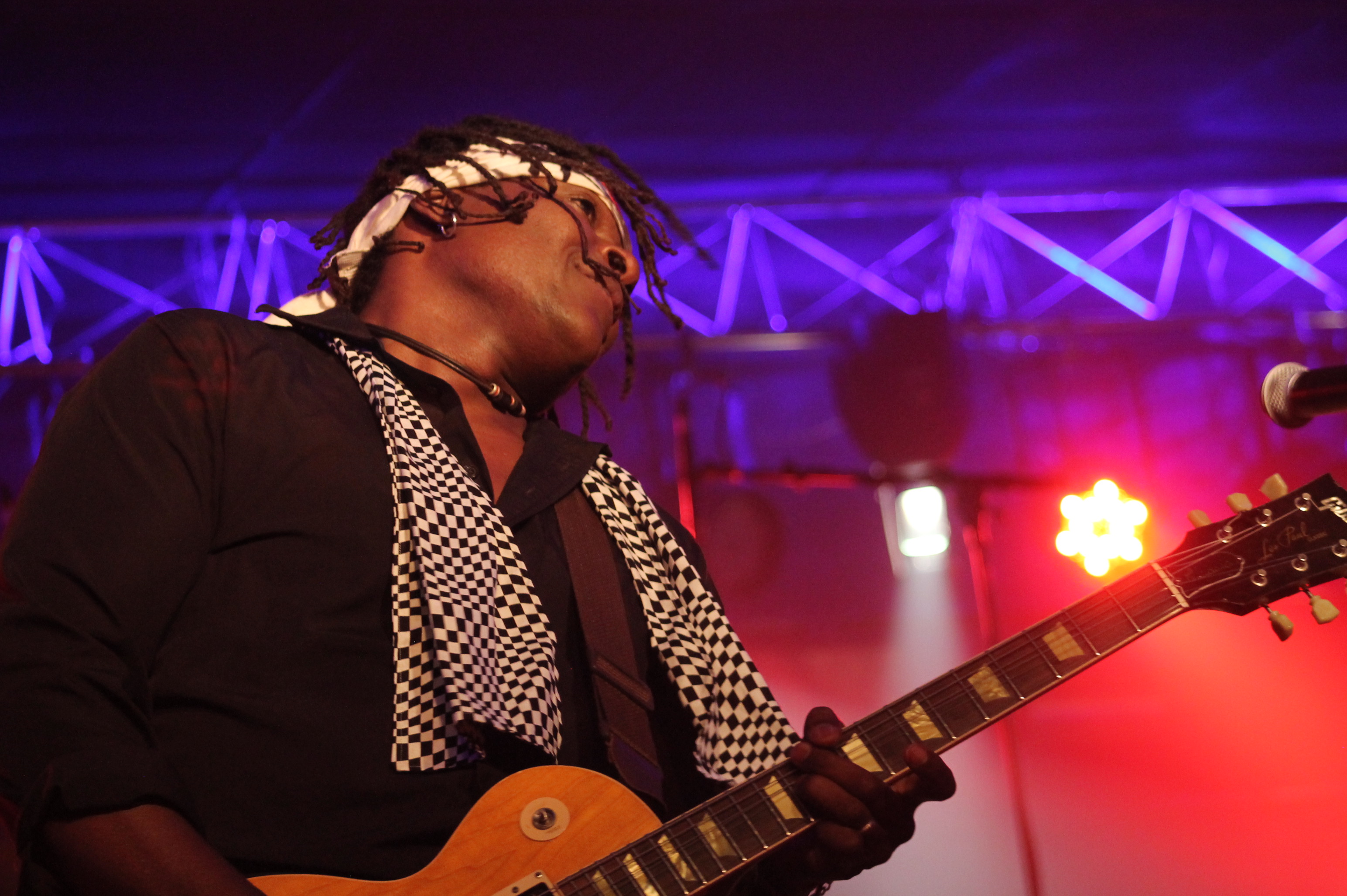 Purple Xperience (Prince Tribute Band) w/ Dr. Fink - Photo by Chris Horton